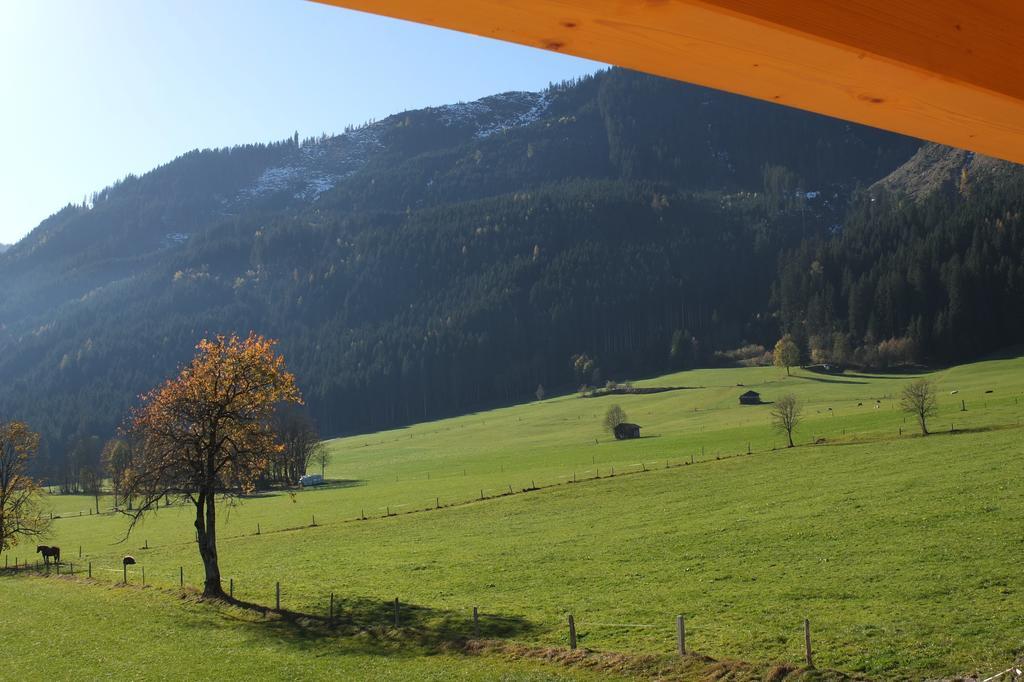 Penthousewohnung Mit Garten Sauna Pool Maishofen Exterior foto
